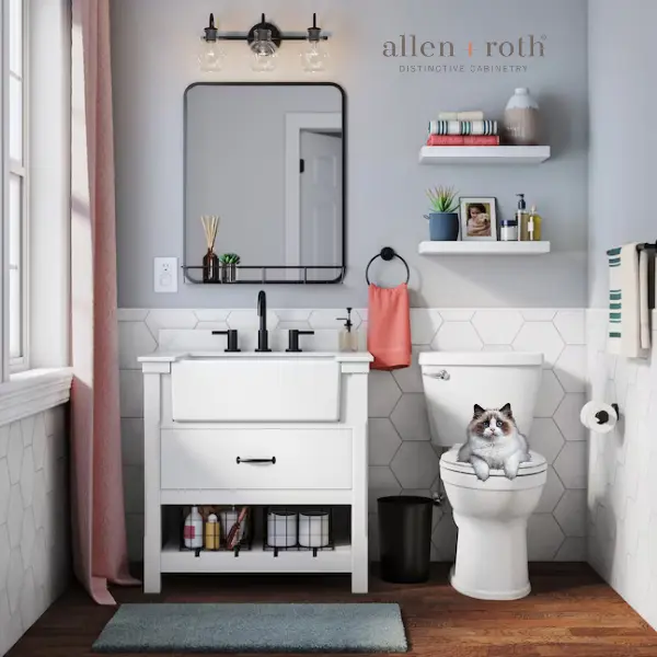 allen and roth Bathroom Faucet